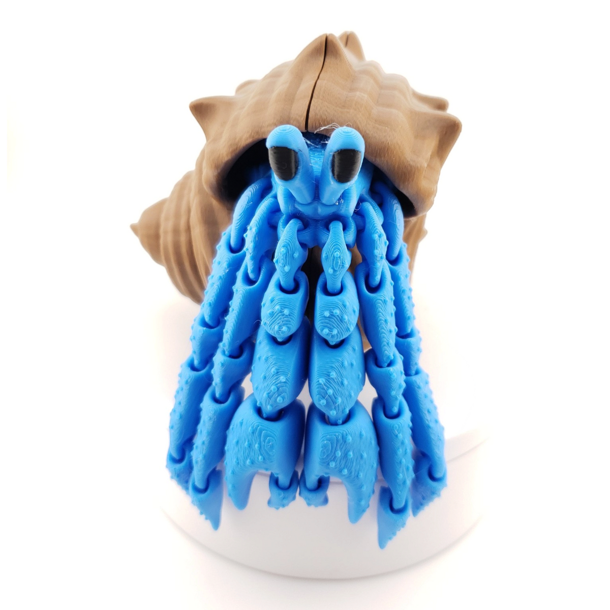 1 Articulated Hermit Crab -- Decor Gift - 3D Printed Fidget Fantasy Creature - Customizable Colors - Authorized Seller