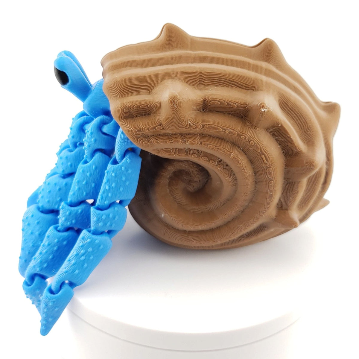 1 Articulated Hermit Crab -- Decor Gift - 3D Printed Fidget Fantasy Creature - Customizable Colors - Authorized Seller